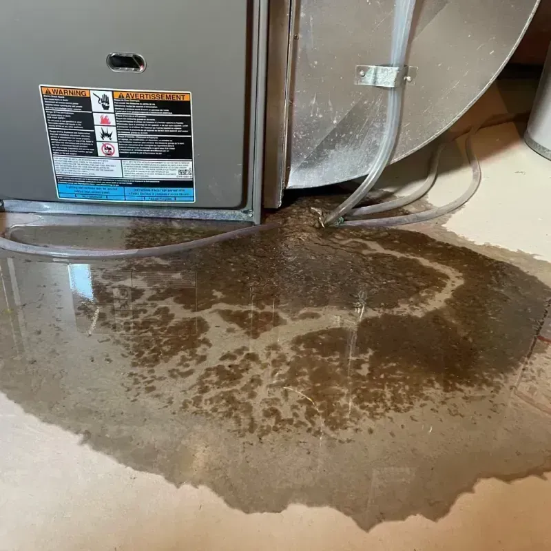 Appliance Leak Cleanup in Greenwood Village, CO